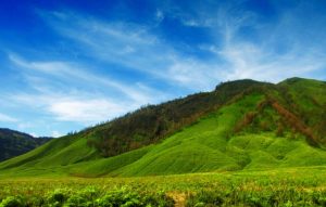 Bumi Ciletuh-Palabuhanratu Bukit Teletubbies